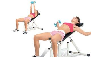 Bench press with dumbbells in a prone position