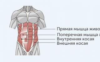 Kako okrepiti trebušne mišice
