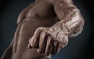 Ćwiczenia w siłowaniu się na rękę – zalecenia dotyczące programu treningowego