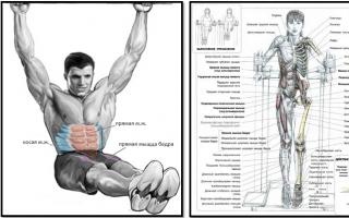 Podnoszenie nóg z zawieszenia na drążku - obciążanie mięśni brzucha do maksimum!